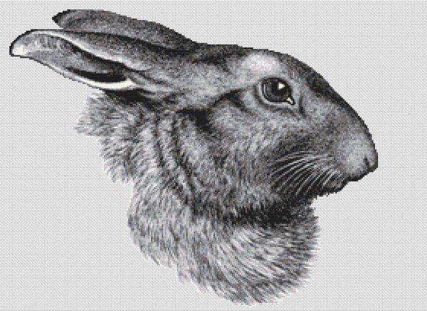 Rabbit Portrait - White Willow Stitching