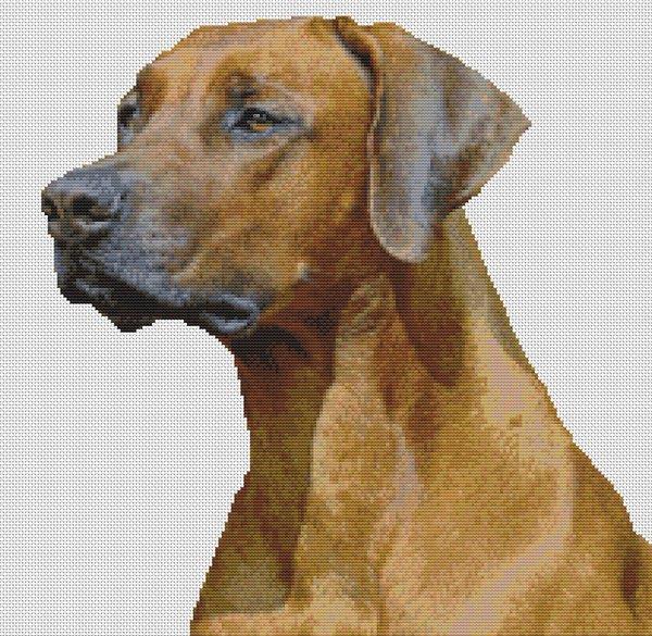Rhodesian Ridgeback - White Willow Stitching