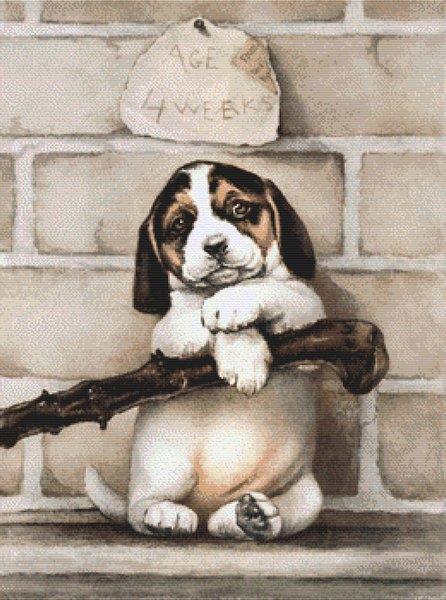 Vintage Beagle Puppy - White Willow Stitching