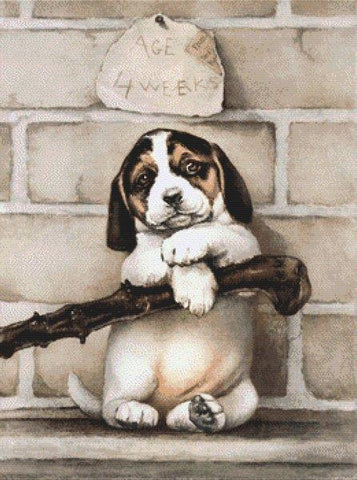 Vintage Beagle Puppy - White Willow Stitching