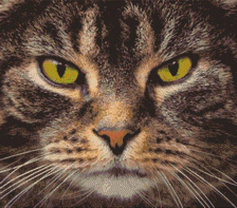 Tabby - White Willow Stitching