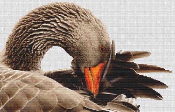 Greylag Goose - White Willow Stitching