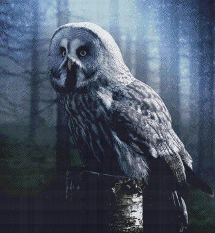 Night Owl - White Willow Stitching