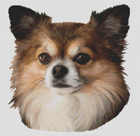 Long-Haired Chihuahua 1 - White Willow Stitching