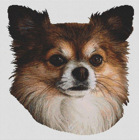 Long-Haired Chihuahua 2 - White Willow Stitching