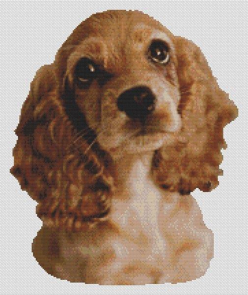 Cocker Spaniel Puppy - White Willow Stitching