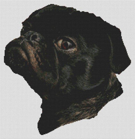 Watching You: Black Pug - White Willow Stitching