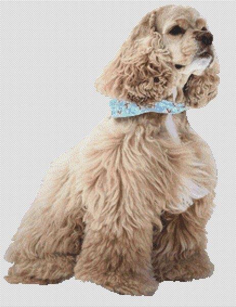 Ascob Cocker Spaniel - White Willow Stitching