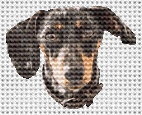 Black Dappled Dachshund - White Willow Stitching