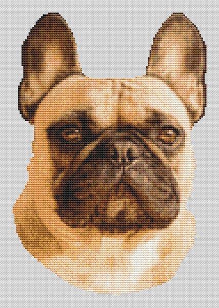 Fawn French Bulldog - White Willow Stitching
