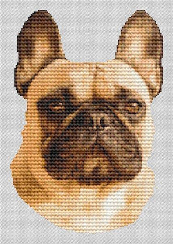Fawn French Bulldog - White Willow Stitching