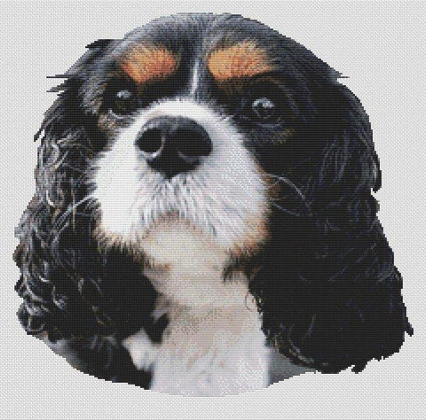 Tri-Colored Cavalier King Charles Spaniel - White Willow Stitching