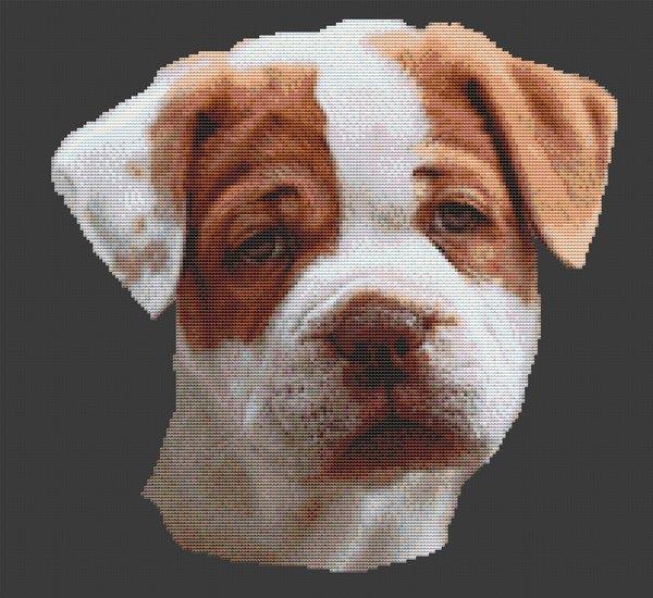 American Bulldog Puppy - White Willow Stitching
