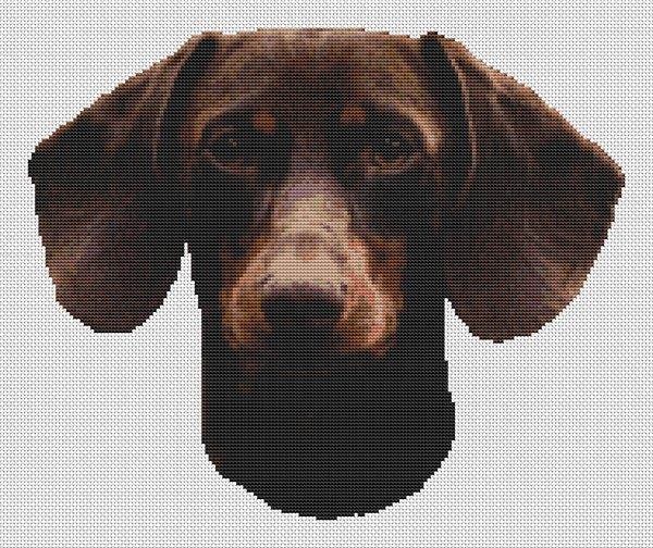 Chocolate And Tan Dachshund - White Willow Stitching