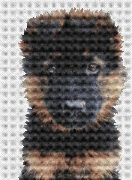 German Shepherd Puppy - White Willow Stitching