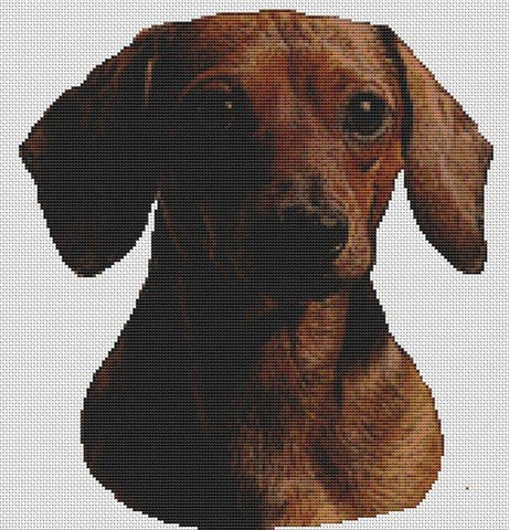 Out of the Shadows: Dachshund - White Willow Stitching