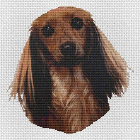 Sable Longhaired Dachshund - White Willow Stitching