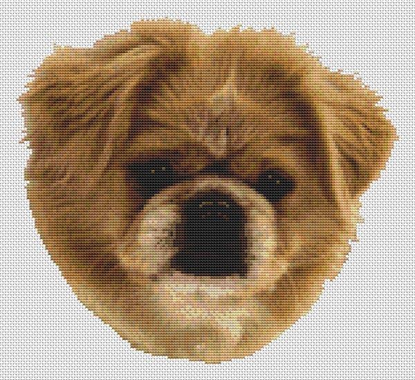 Red Tibetan Spaniel - White Willow Stitching