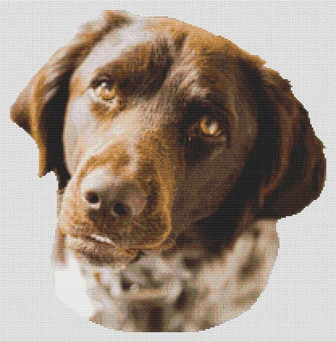 German Shorthaired Pointer - White Willow Stitching