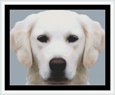 Yellow Labrador Retriever - White Willow Stitching