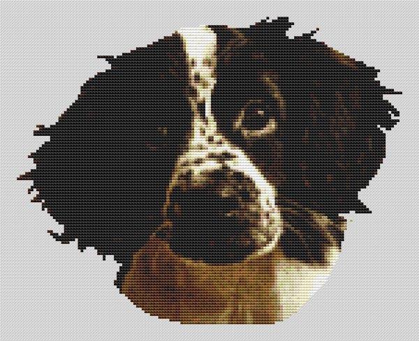 Springer Spaniel Puppy - White Willow Stitching