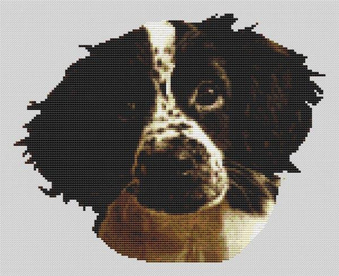 Springer Spaniel Puppy - White Willow Stitching