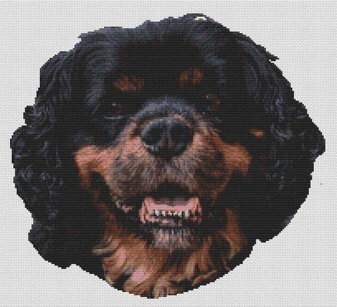Black & Tan Cavalier King Charles Spaniel - White Willow Stitching