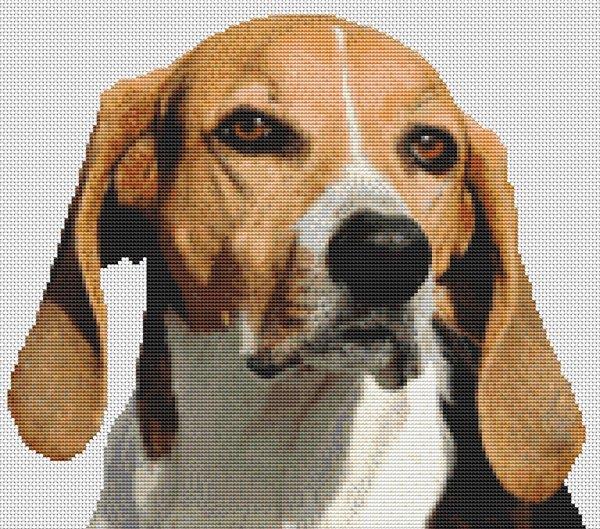 Foxhound - White Willow Stitching