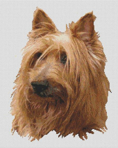 Australian Terrier - White Willow Stitching