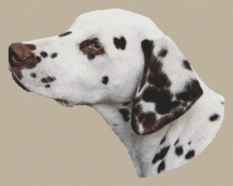 Dalmatian - White Willow Stitching