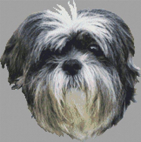 Silver And White Havanese - White Willow Stitching