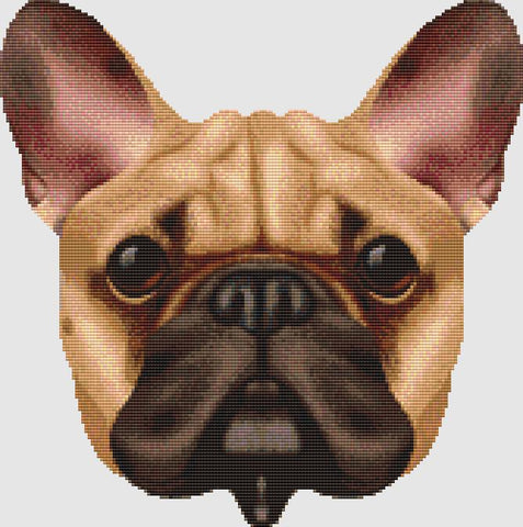 French Bulldog: Face (Fawn) - DogShoppe Designs