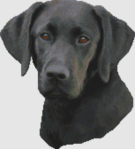 Labrador Retriever: Portrait II (Black) - DogShoppe Designs