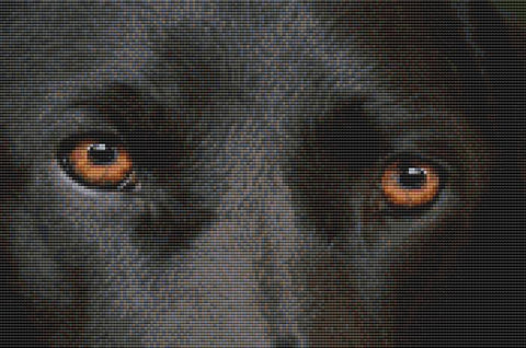 Labrador Retriever: Eyes (Black) - DogShoppe Designs