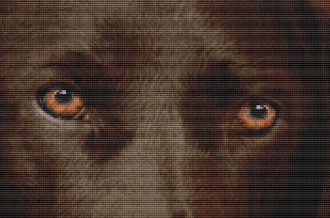 Labrador Retriever: Eyes (Chocolate) - DogShoppe Designs