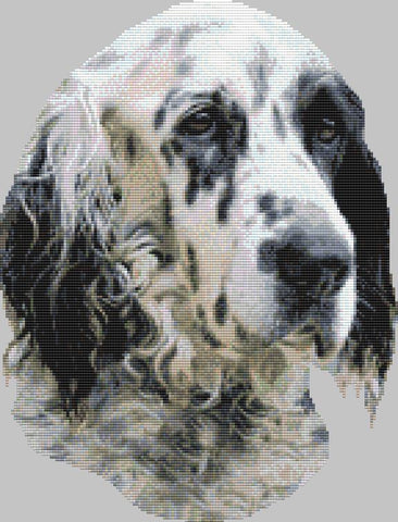 English Setter: Portrait - DogShoppe Designs