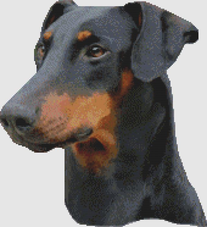 Doberman Pinscher: Portrait (Black Tan) - DogShoppe Designs