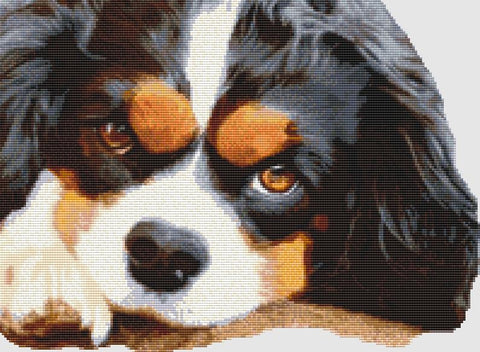 Cavalier Spaniel: Resting (Tri) - DogShoppe Designs