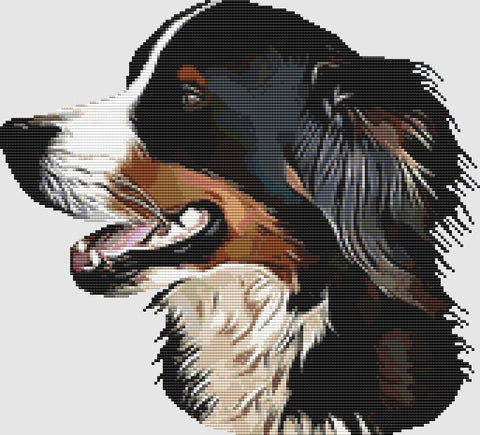 Bernese Mountain Dog: Profile - DogShoppe Designs