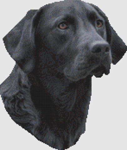 Labrador Retriever: Portrait (Black) - DogShoppe Designs