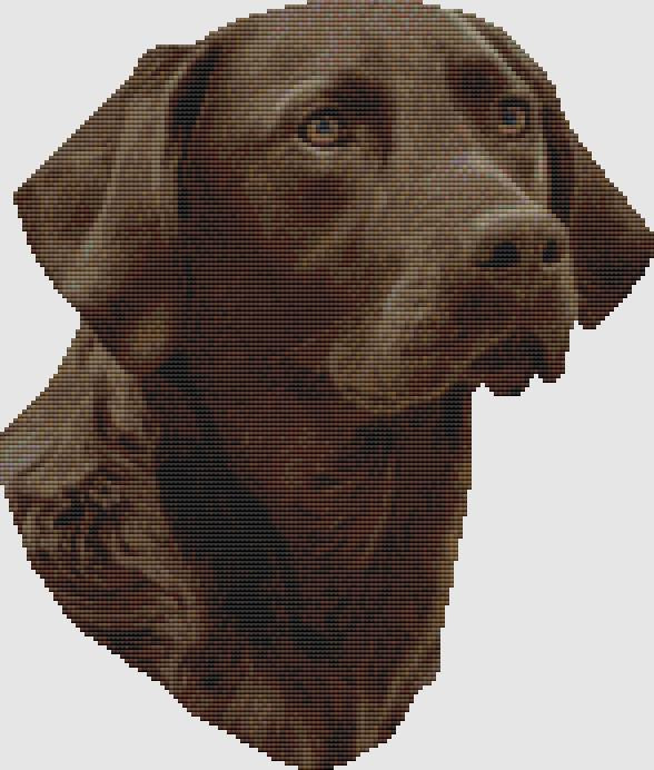 Labrador Retriever: Portrait (Chocolate) - DogShoppe Designs
