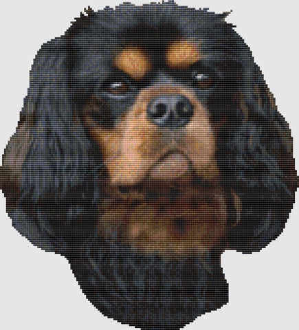 Cavalier Spaniel: Portrait (Black & Tan) - DogShoppe Designs