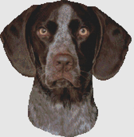 German Shorthair Pointer: Portrait - DogShoppe Designs