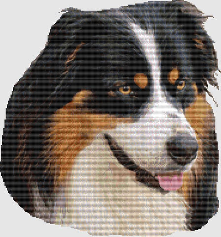 Australian Shepherd: Portrait (Black Tri) - DogShoppe Designs