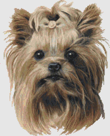 Yorkshire Terrier: Portrait - DogShoppe Designs