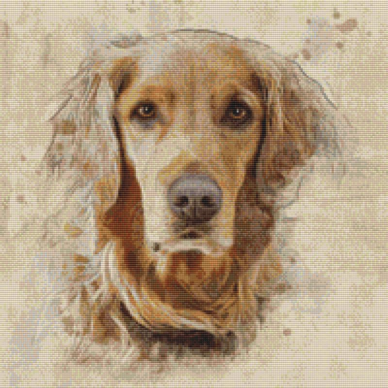 Golden Retriever: Artistic - DogShoppe Designs