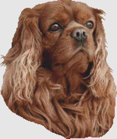 Cavalier Spaniel: Portrait (Ruby) - DogShoppe Designs