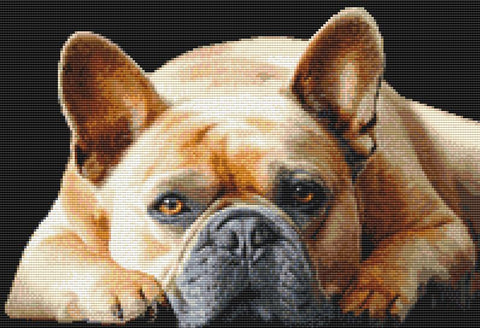 French Bulldog: Peaceful - DogShoppe Designs