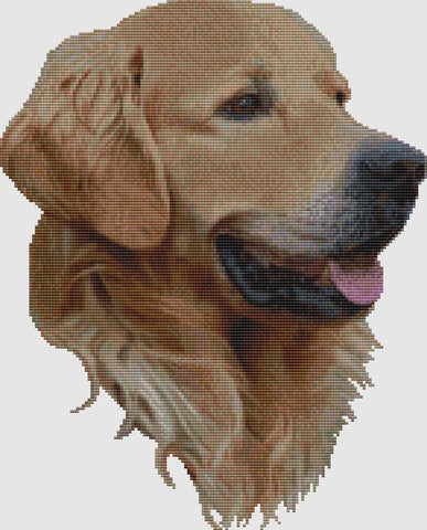 Golden Retriever: Portrait II - DogShoppe Designs