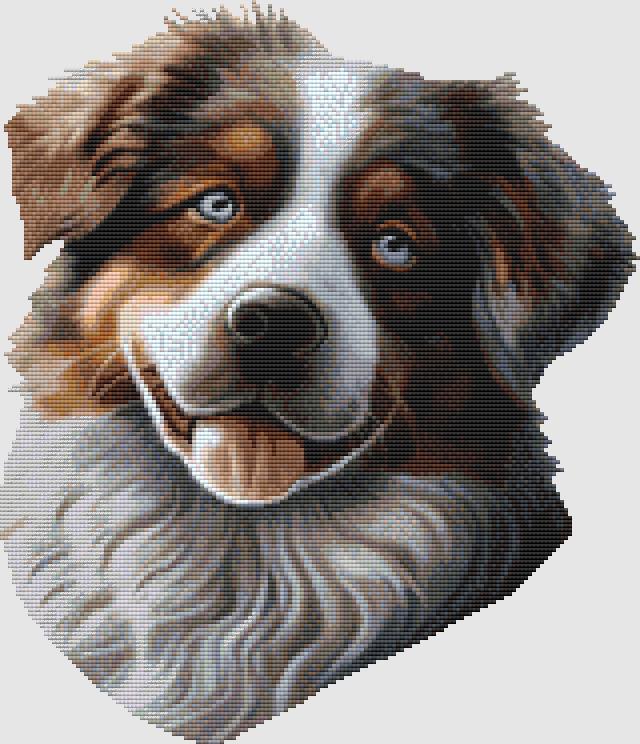 Australian Shepherd: Portrait - DogShoppe Designs